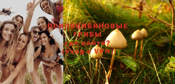 хмурый Зерноград